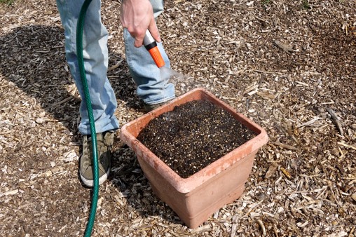 Maak de Makkelijke Moestuinmix voor het eerste gebruik goed vochtig