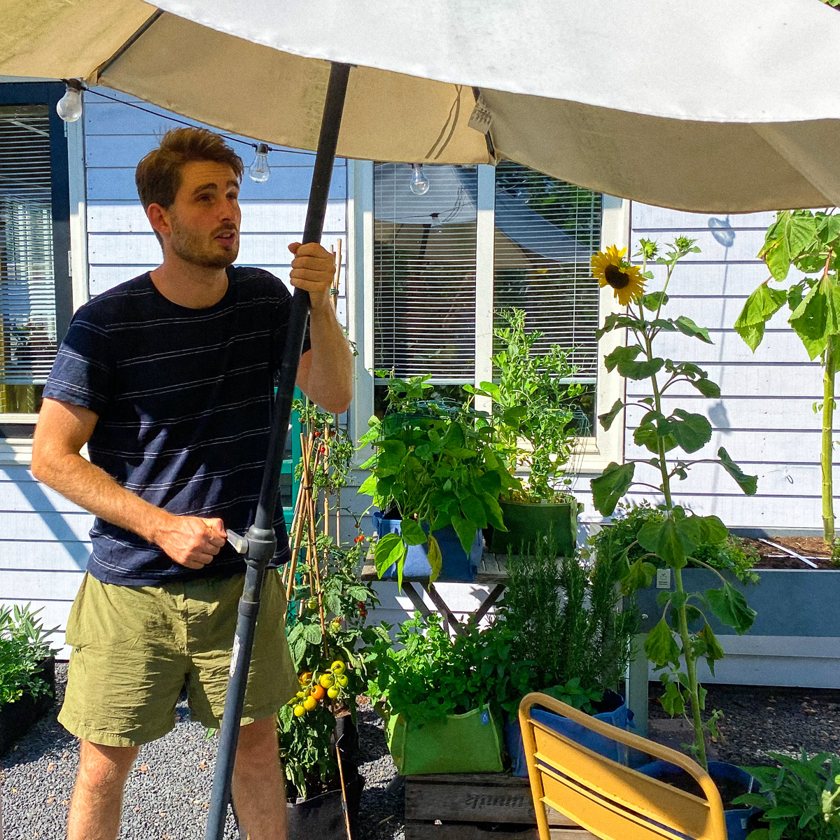 Parasol om zaailingen en kleine plantjes schaduw te geven op het heetst van de dag.
