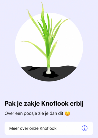 Afbeelding knoflook in de Makkelijke Moestuin app