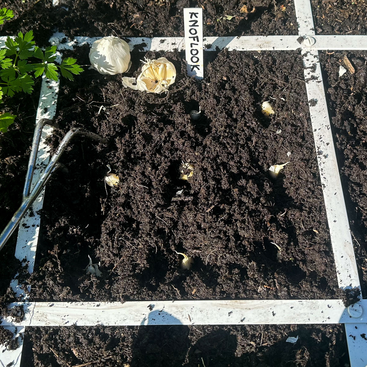 Makkelijke Moestuinmuts over de Hero moestuinbak op poten