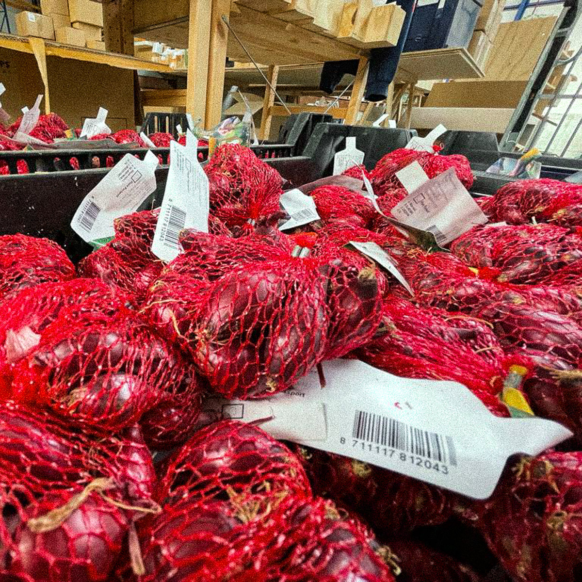 Zakjes rode winteruitjes, klaar voor de verkoop