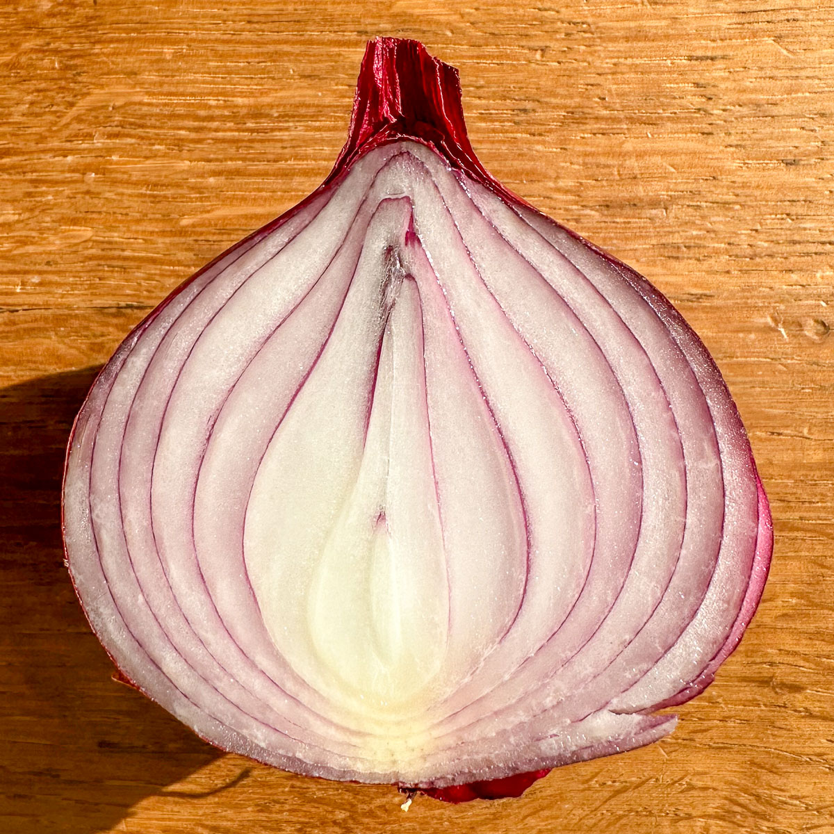 Net geoogste rode winterui