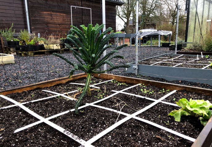 De Makkelijke Moestuin in winterstand