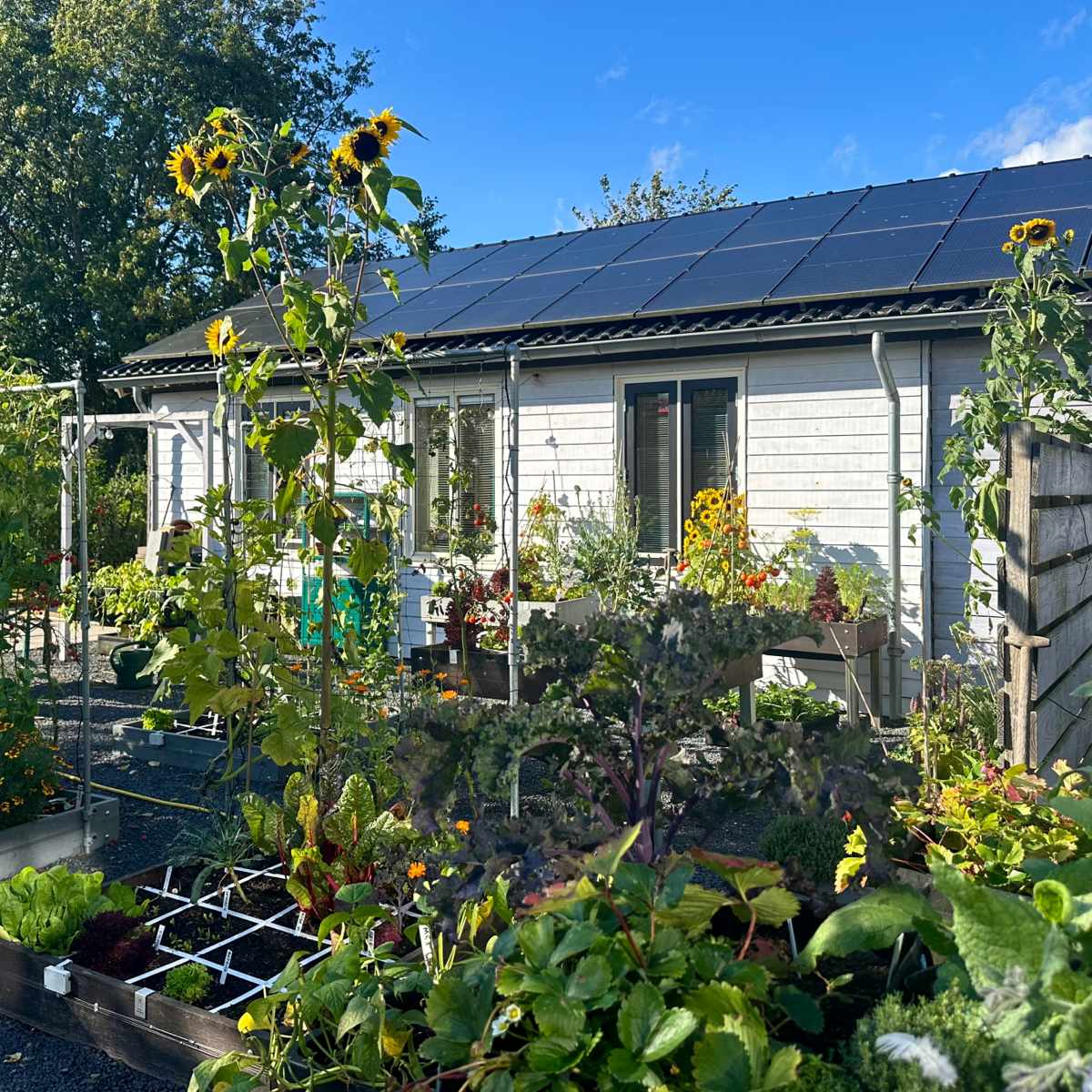 Onze Makkelijke Moestuin in Den Andel