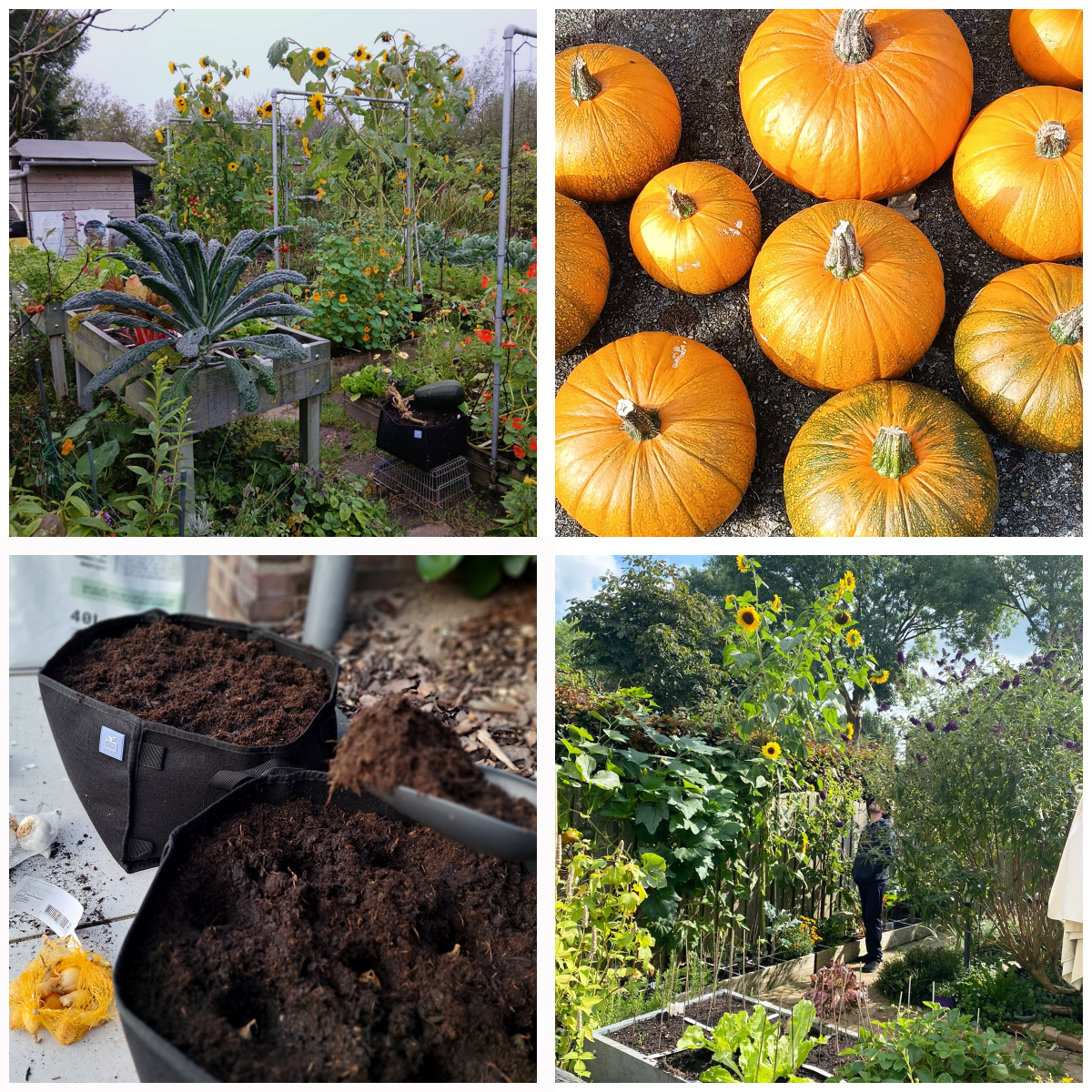 Herfstfoto's van Rinus7, Anja39, Kirsten08 en Pepperonimo