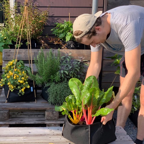 De Makkelijke Moestuin Mini's kan je makkelijk even verplaatsen