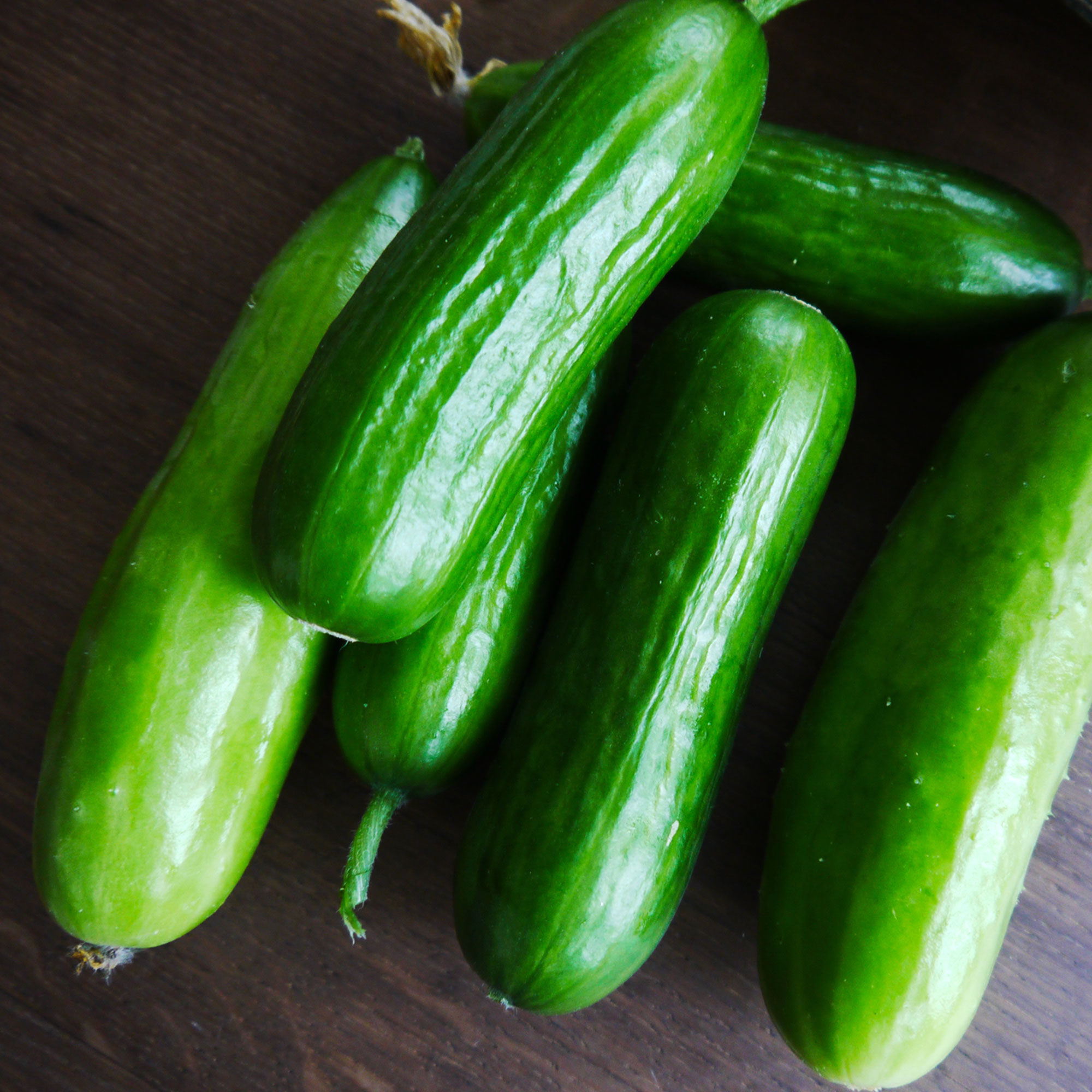 Cucumber