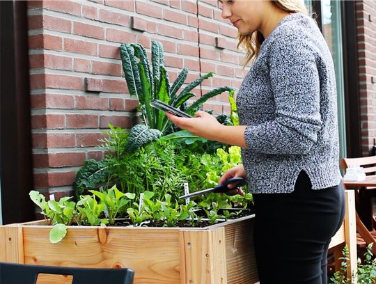 Our garden table is an elevated raised bed on legs.