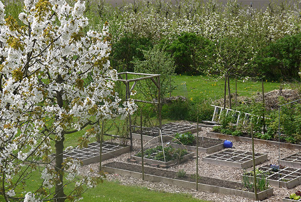 A Planty Garden set up in mid-May 2013