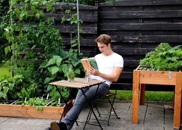 The office garden on June 26: I'd already harvested some of the patches completely and sown a second round