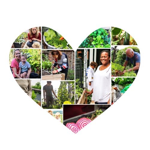 Makkelijke Moestuin community heart