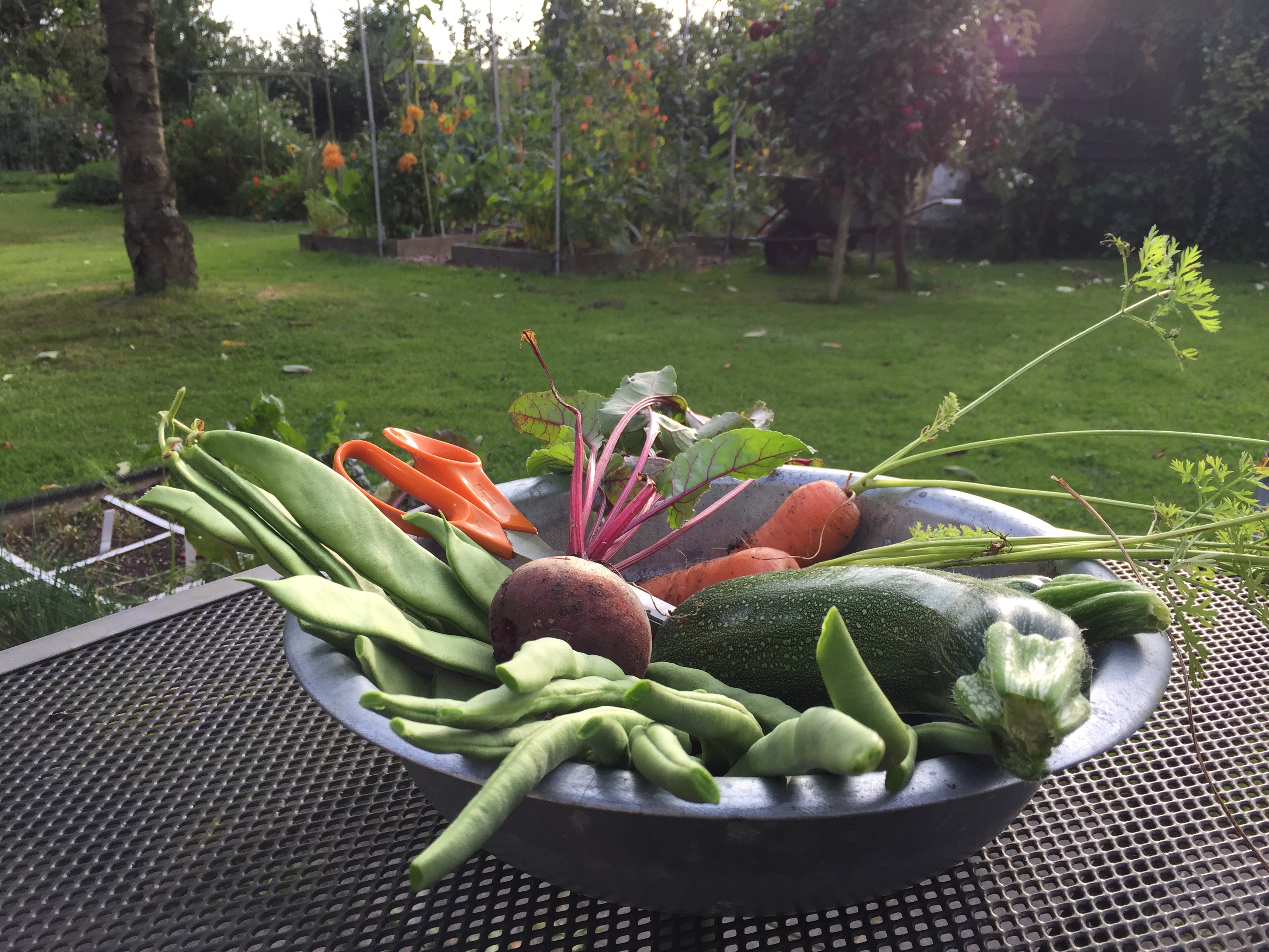 Verse zelfgekweekte groentes