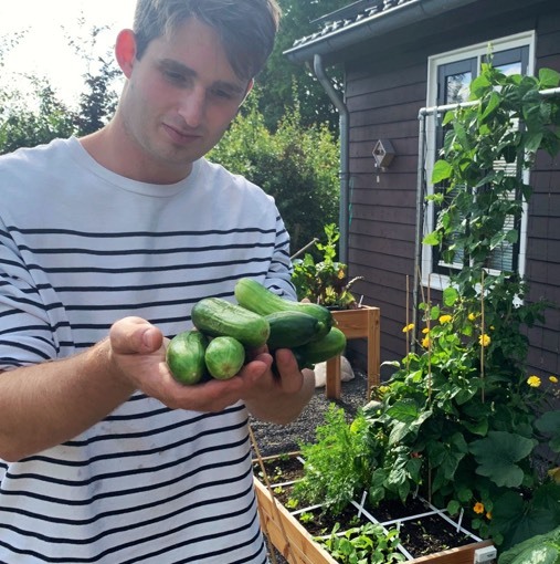 The Iznik snack cucumber is bred to stay small and produce a good harvest in a Makkelijke Moestuin