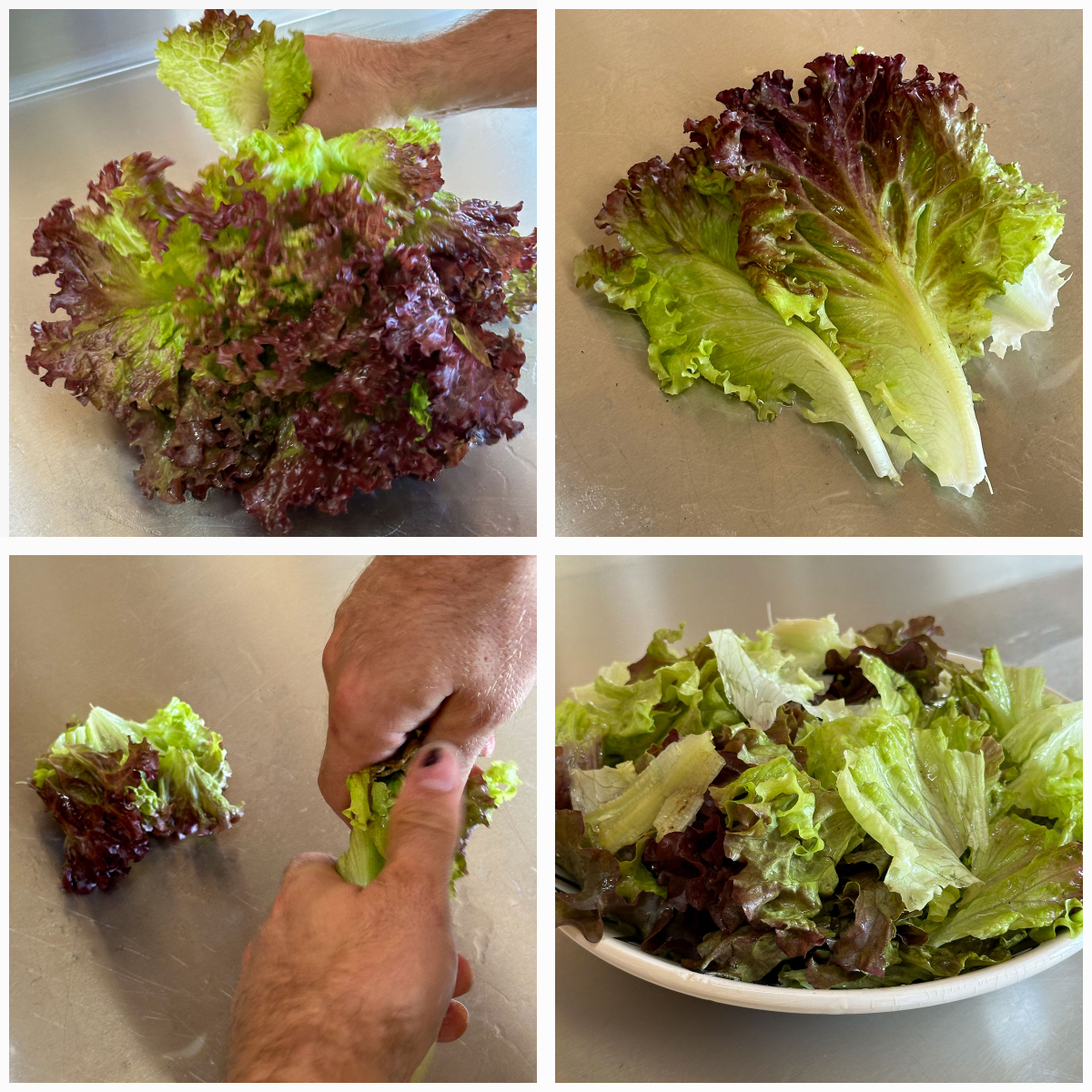 Een paar bladeren zijn genoeg voor een bord vol salade