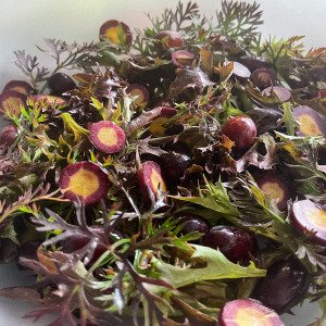 Crispy Red lettuce Pro