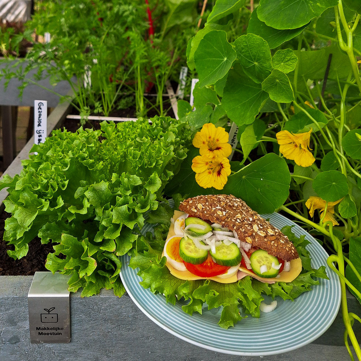 With kristalsla, you pick the leaves you need and leave the rest