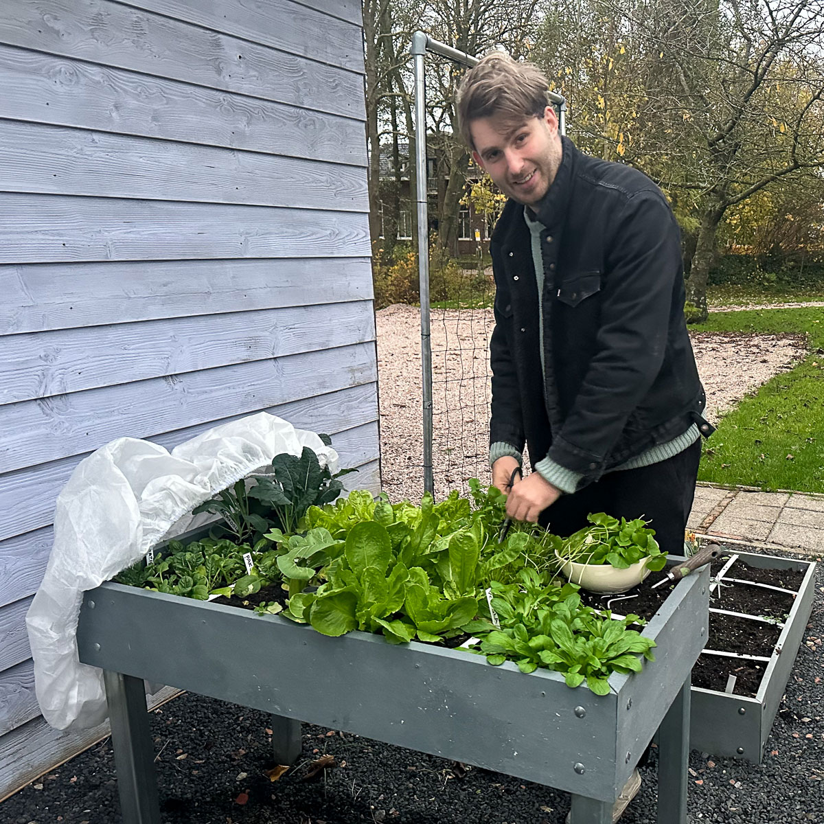 Oogsten uit de Makkelijke Moestuin herfstbak