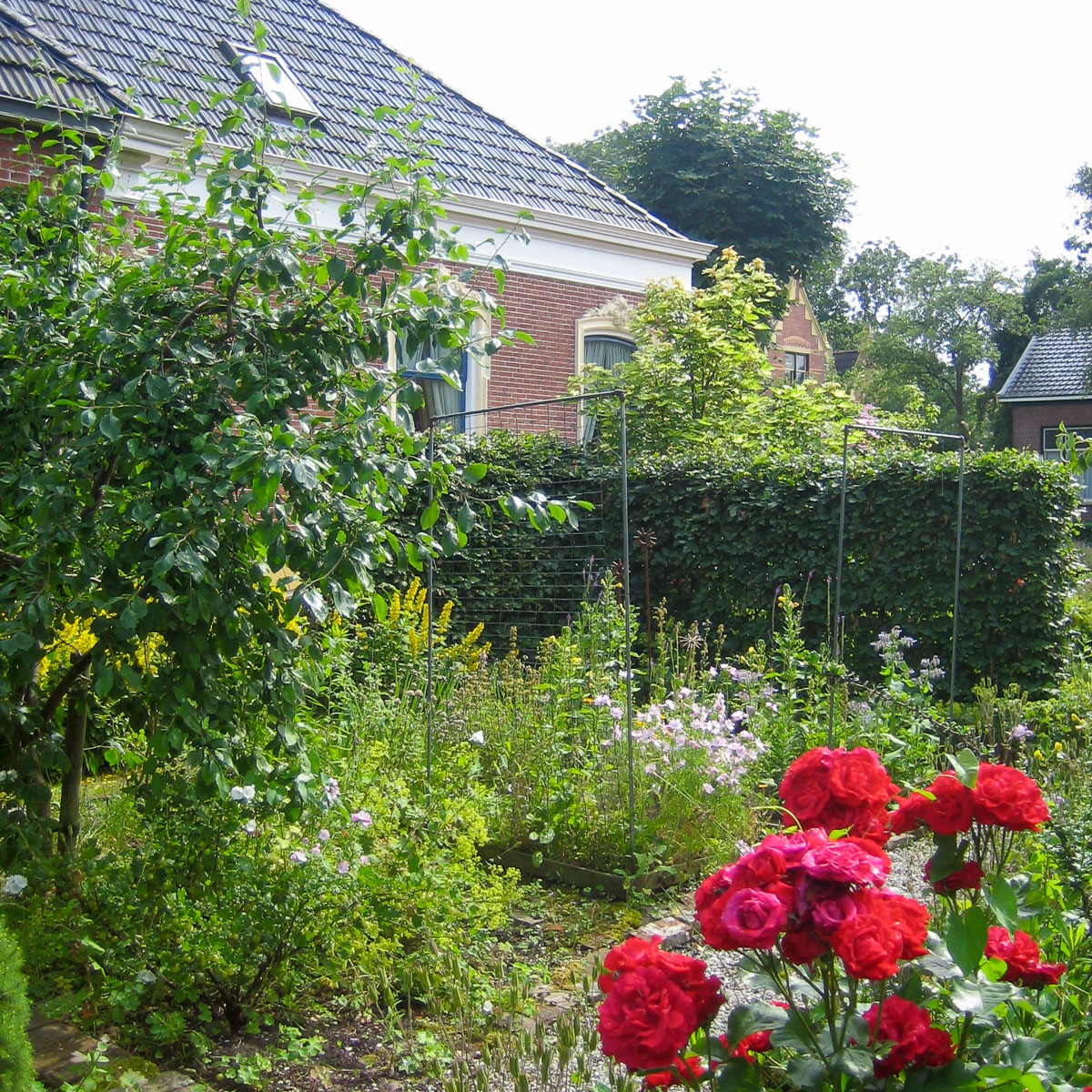 De restanten van ons eerste moestuin avontuur.