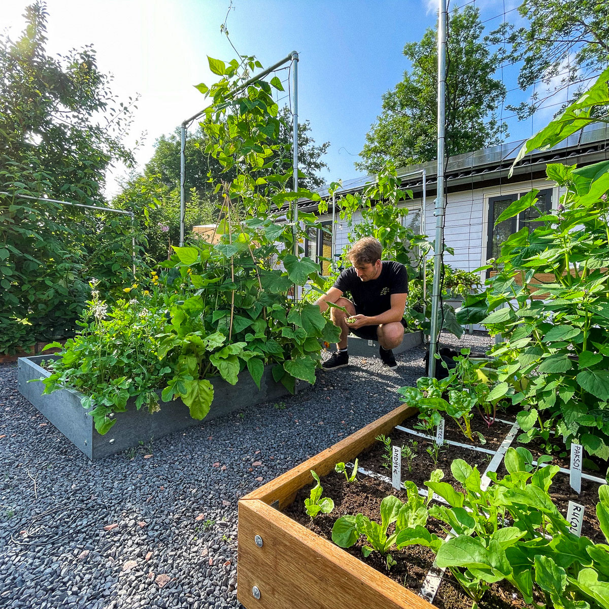 Onze Makkelijke Moestuin in Den Andel
