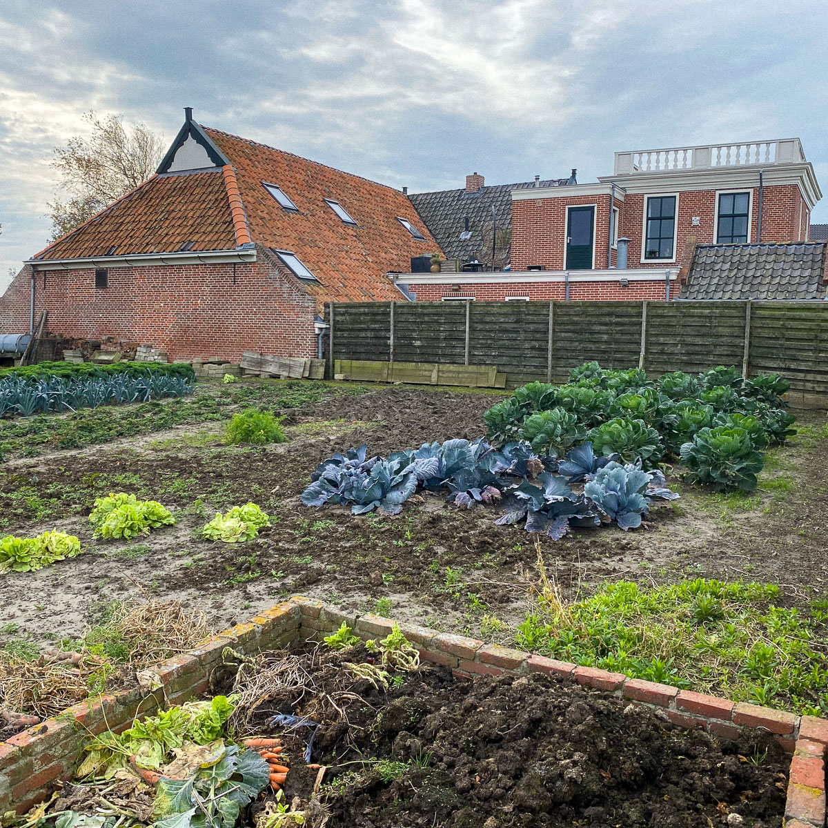 Traditionele moestuin in het najaar - Noordpolderzijl, Groningen