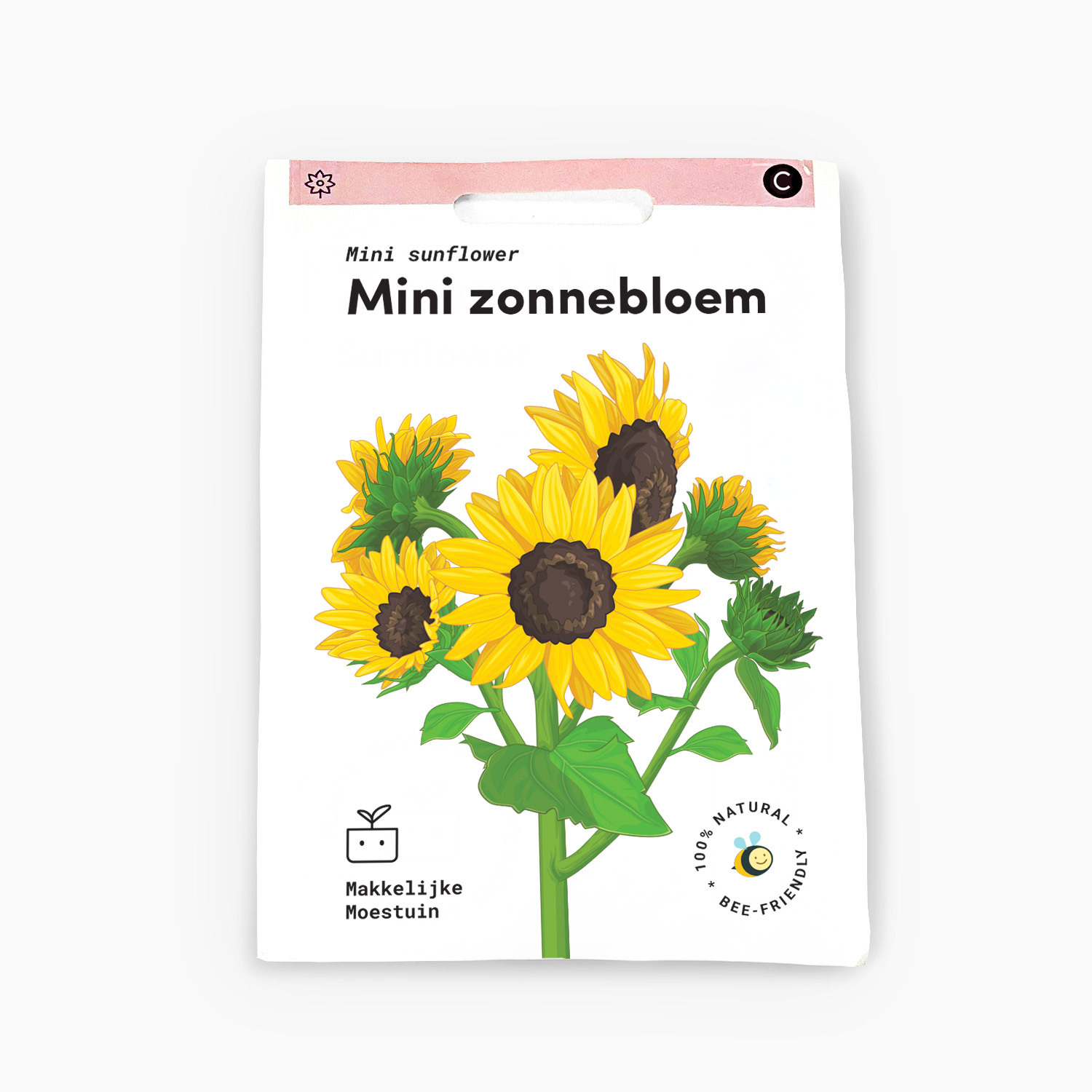 Mini sunflower