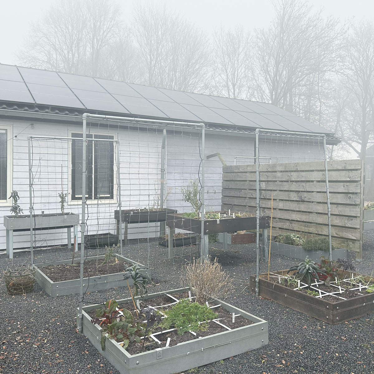 Hartje winter: zo goed als lege Makkelijke Moestuinbakken in de mist
