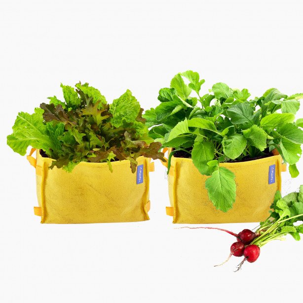 Startpakket inclusief mix, zaden en labels