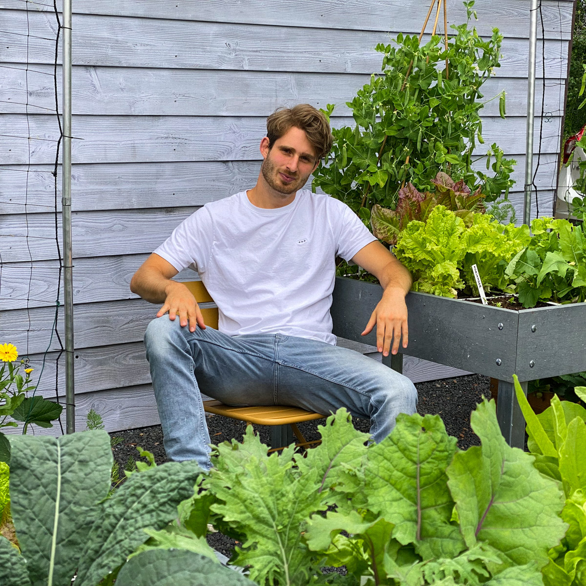 The Makkelijke Moestuin uses a sowing system that gives each plant just the right amount of space to grow