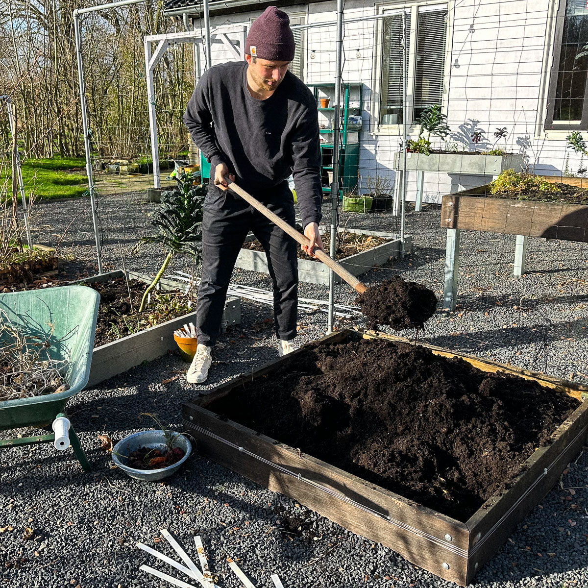 Het opschonen en weer aanvullen van moestuinbakken die er al staan