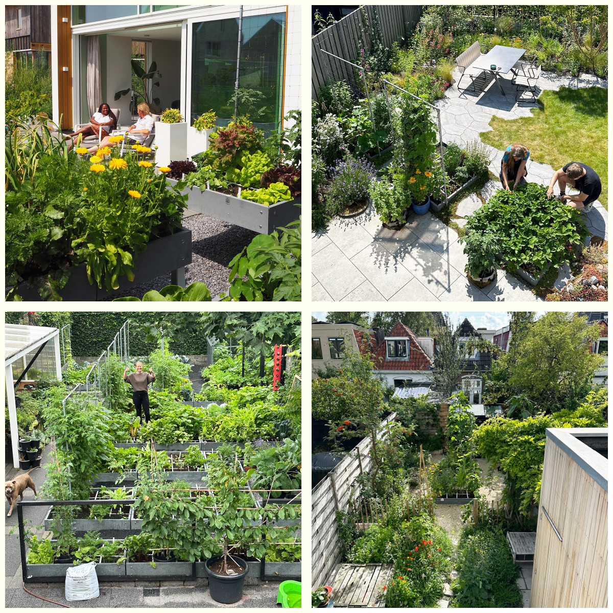 Makkelijke Moestuinen van andere MM-ers