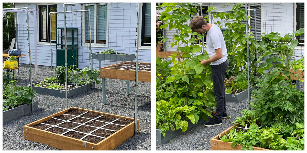 Onze eigen Makkelijke Moestuin in Den Andel: net opgezet en een paar maanden later