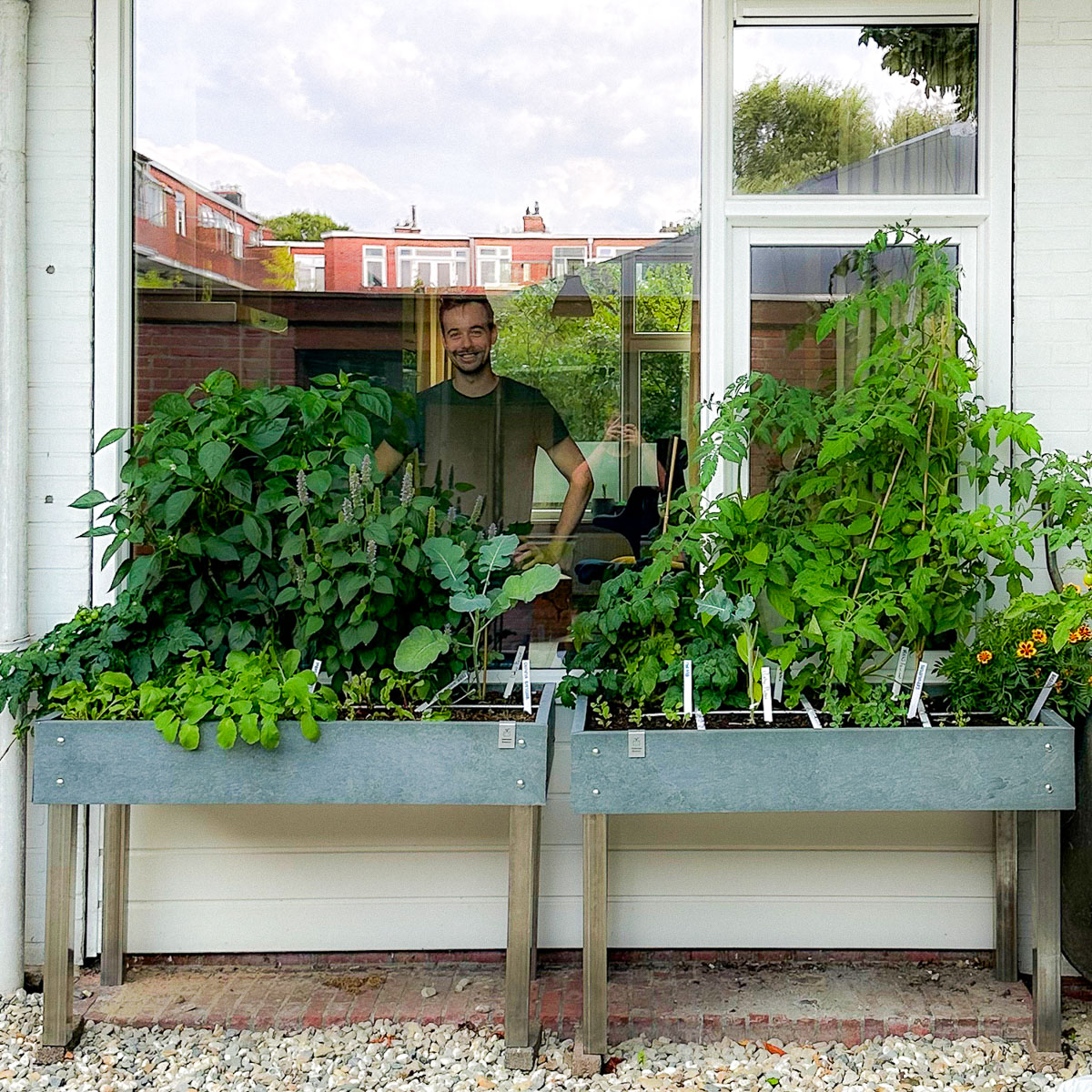 Bart's Makkelijke Moestuinbakken staan een deel van de dag in de schaduw