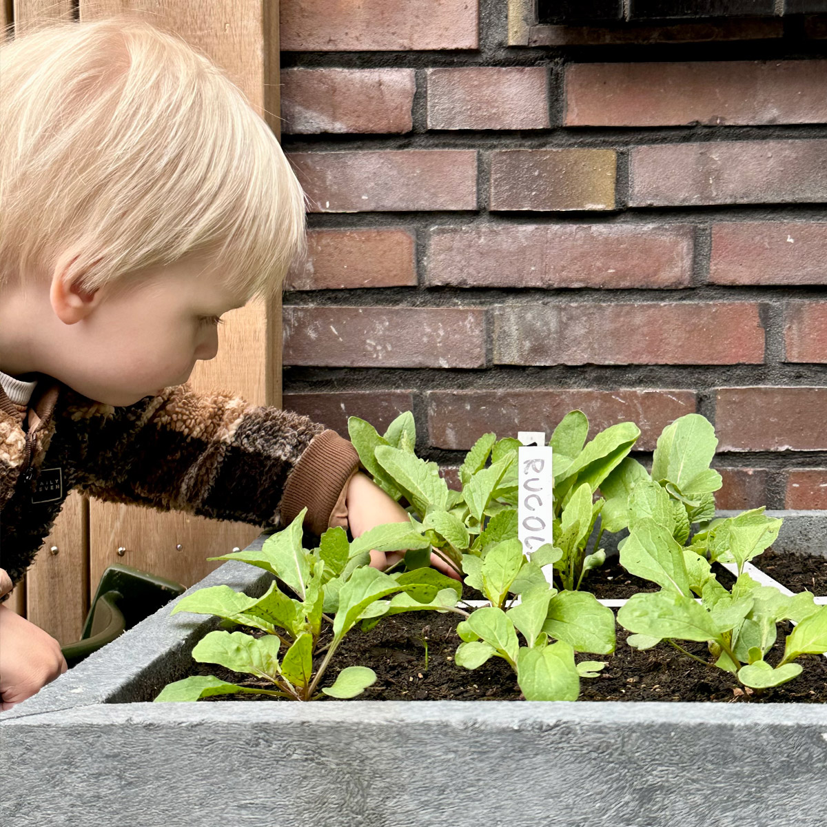 Voor kinderen oogst je genoeg uit een kleinere Makkelijke Moestuin bak