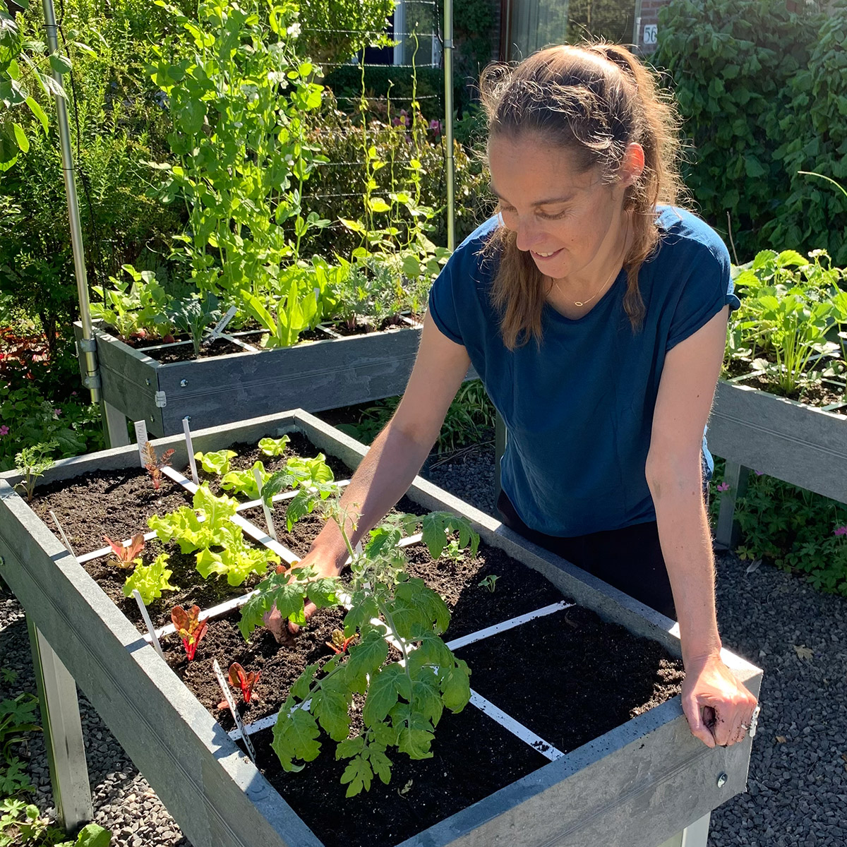Uit 24 moestuinvakken oogst je in een Makkelijke Moestuin al verrassend veel