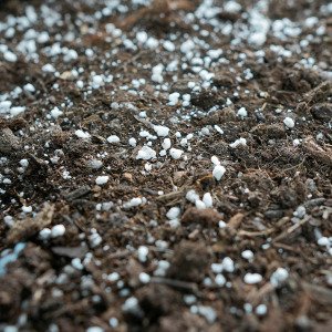 Extra perlite for MM-Mix, 5L