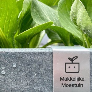 MM-hero 16 vakken