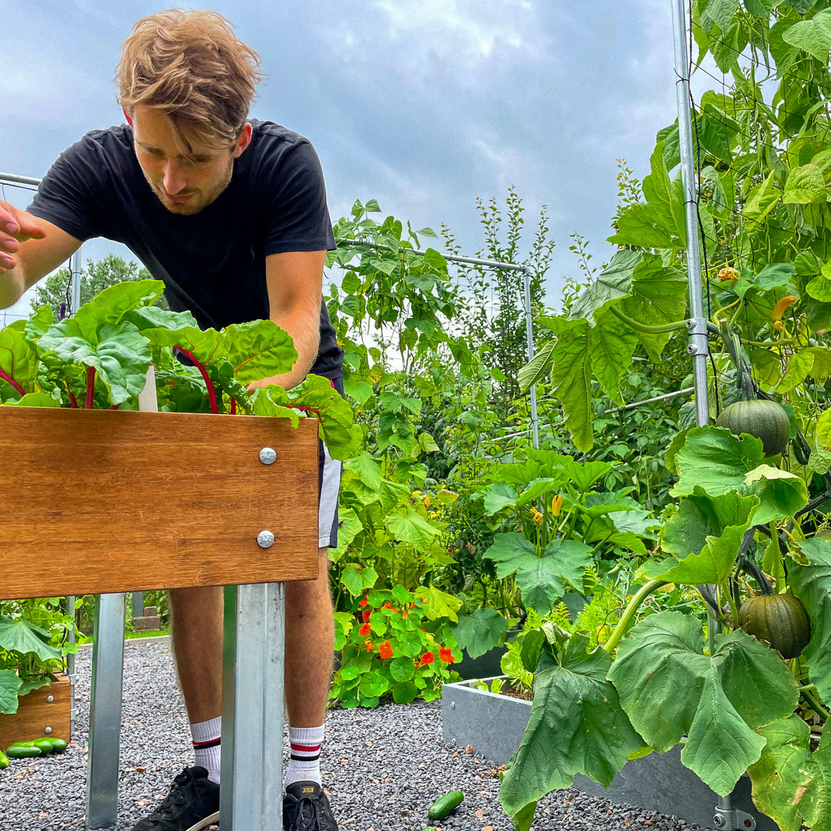 Moestuinbakken vol heerlijke groentes, daar draait het om in de Makkelijke Moestuin