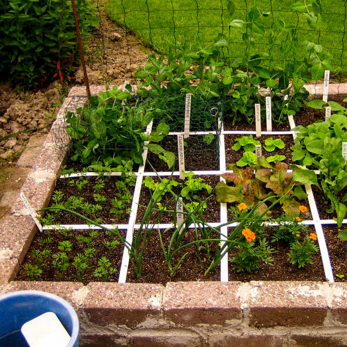 De eerste moestuinbak van mijn moeder (2008)