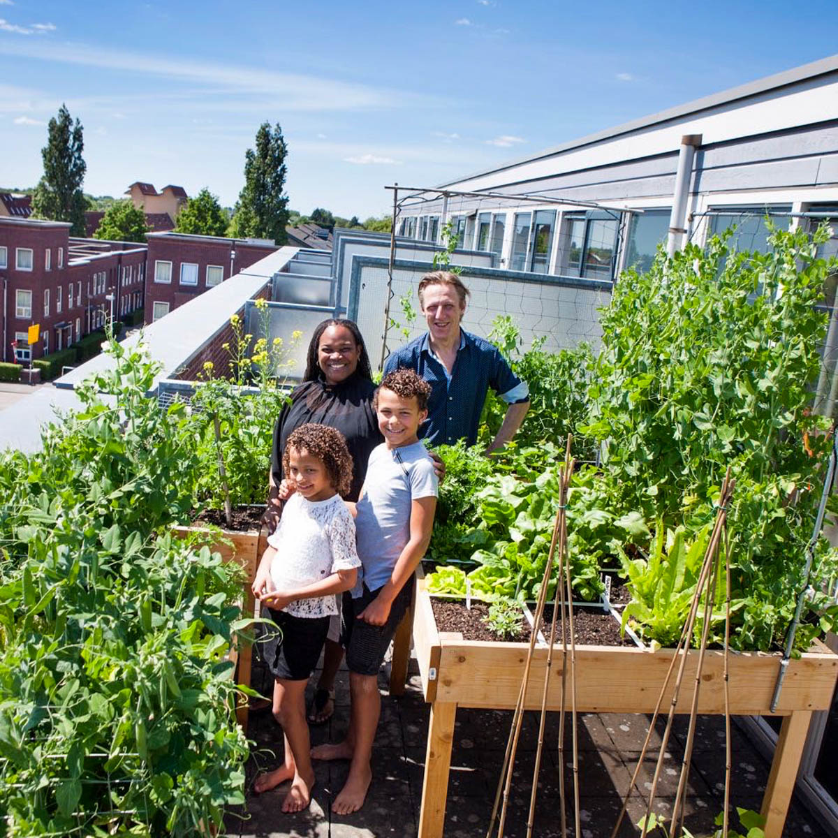 Volwaardige Makkelijke Moestuin op balkon / dakterras