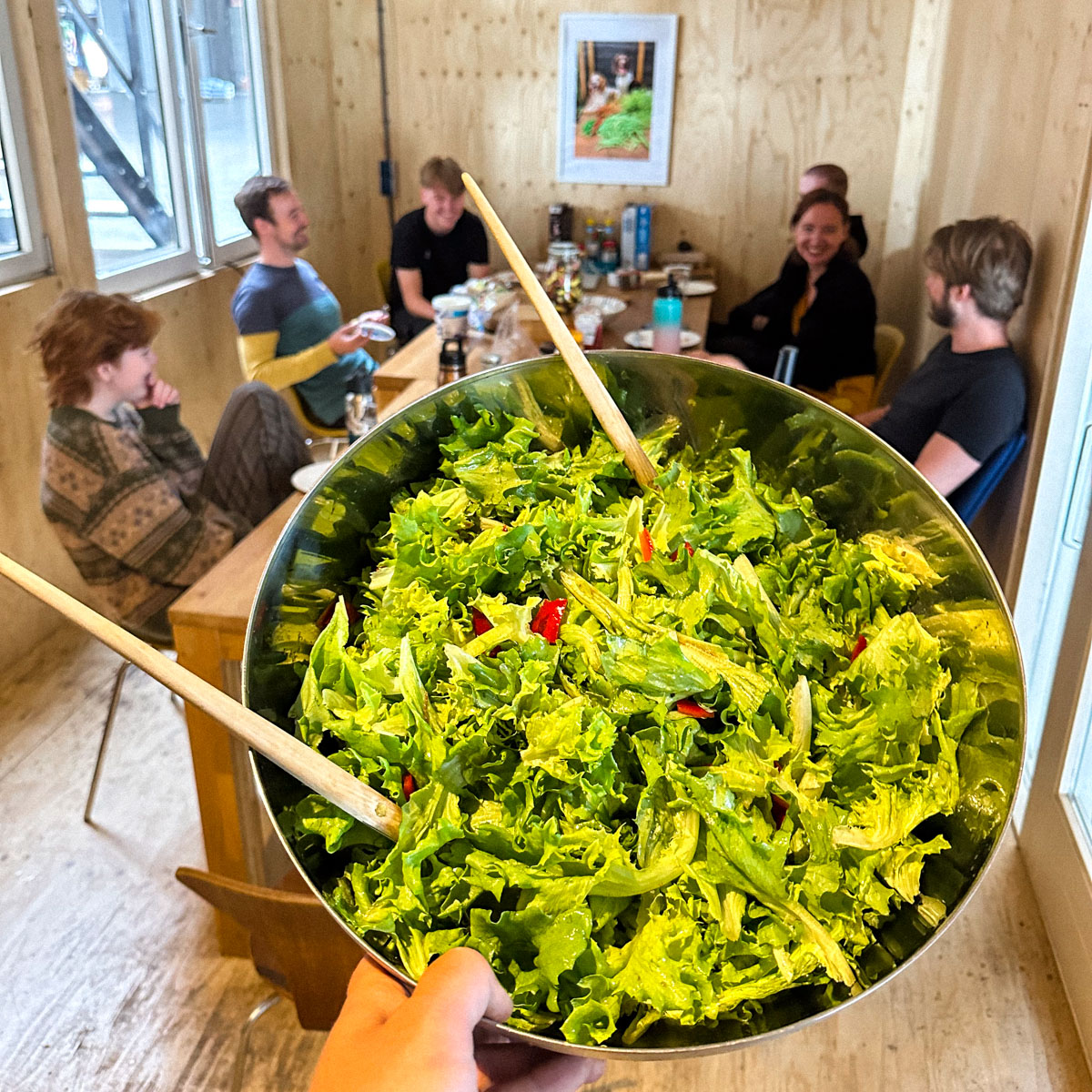 1 krop Batavia sla: meer dan genoeg voor een enorme salade
