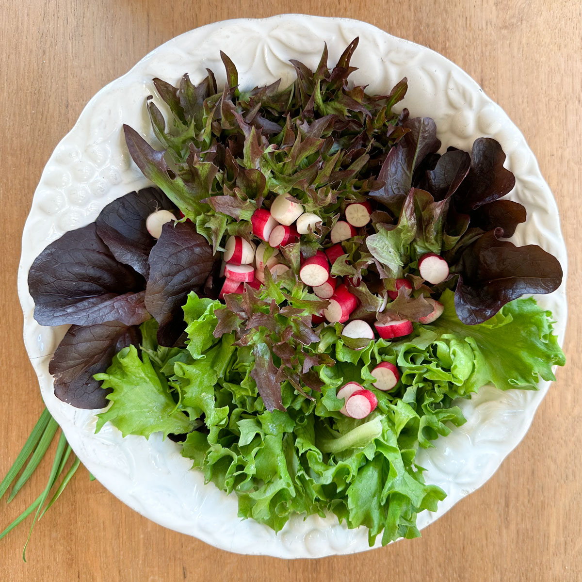 Salade van 4 soorten Salanova pluksla (links de rode botersla)