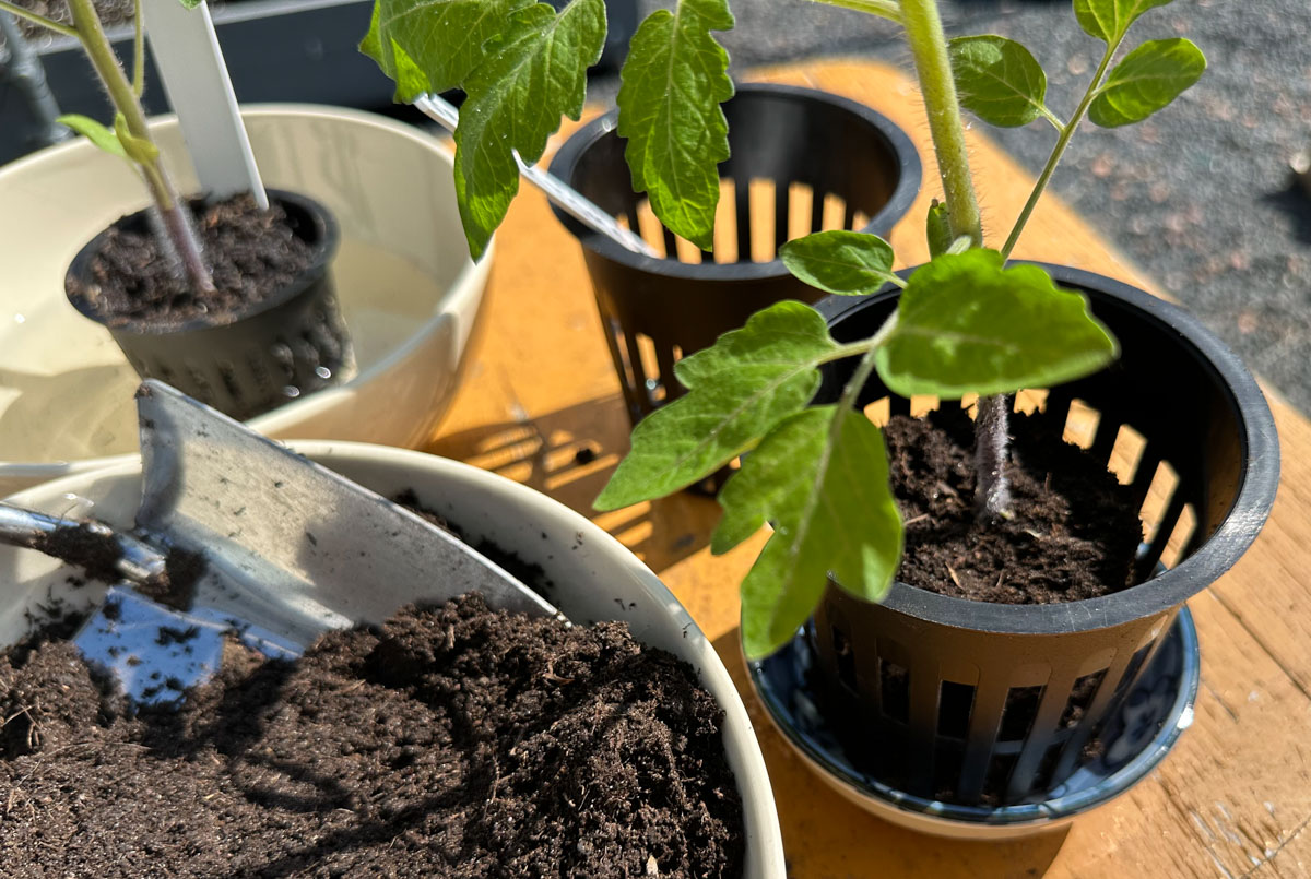 Makkelijke Moestuin airpotten: links de kleine, rechts de grotere maat.