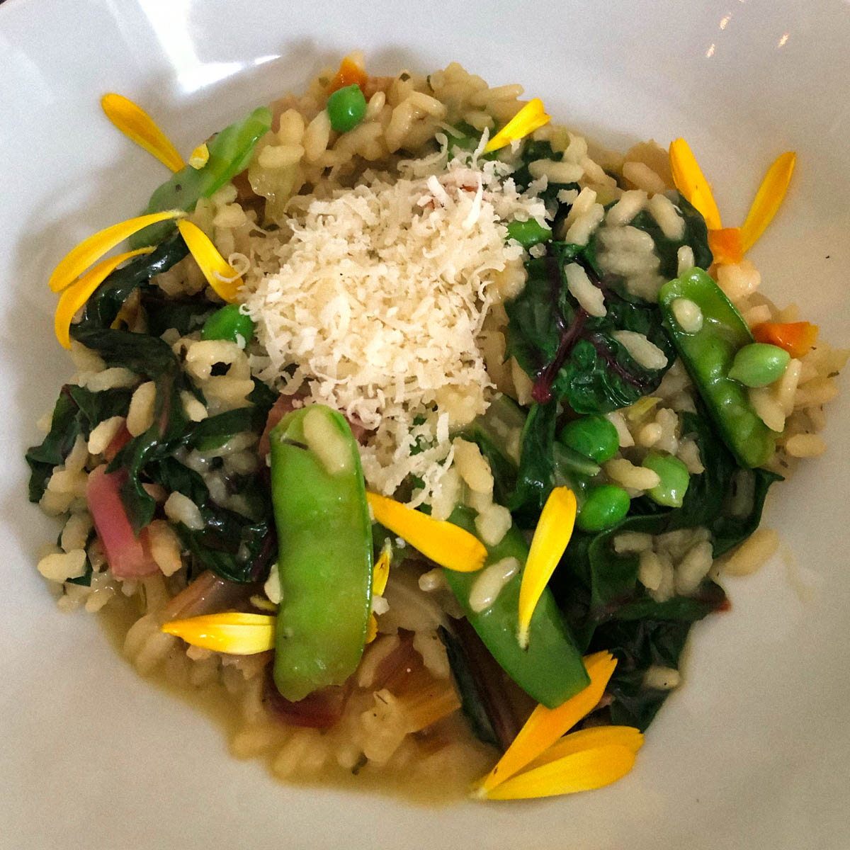 Risotto met snijbiet Makkelijke Moestuin