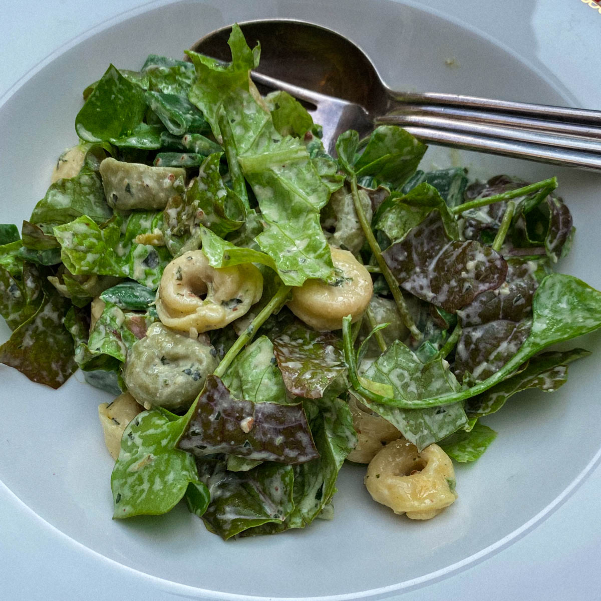 Tortellini salade met vers-geplukte groentes