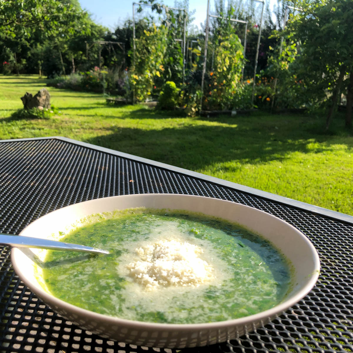 Healthy summer soup from the Planty Garden
