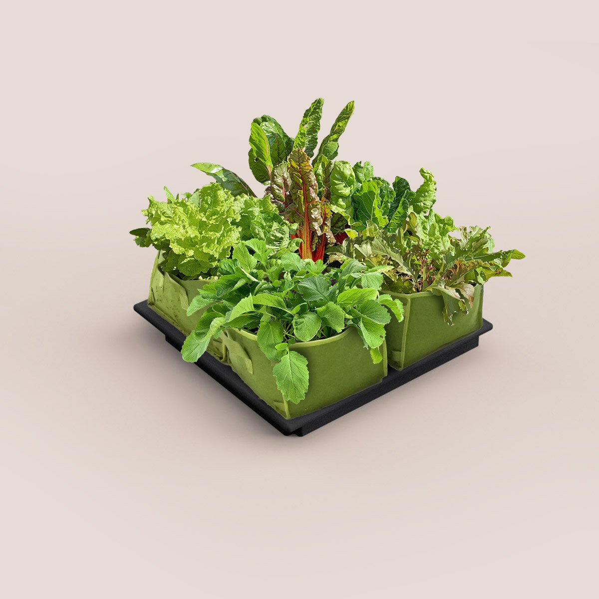 Water reservoir for MM-Minis and MM-Air grow bag
