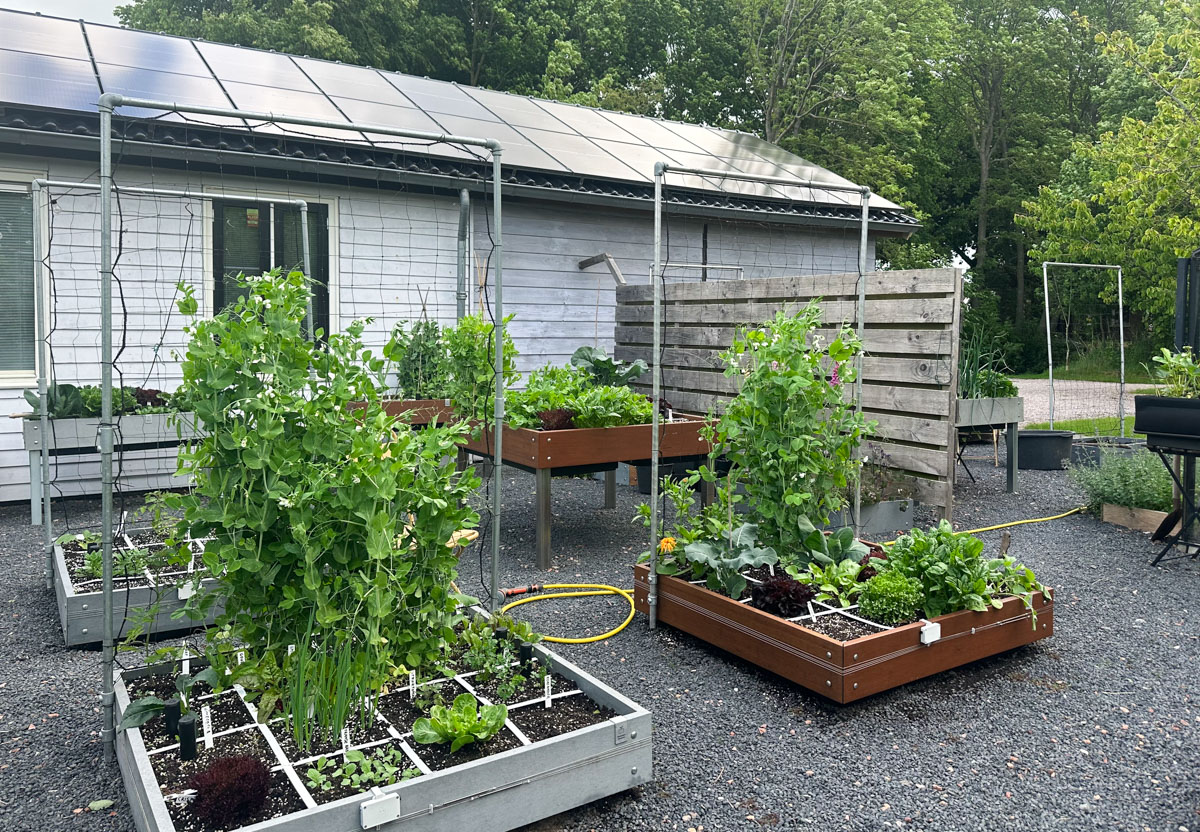 Onze moestuinbakken in Den Andel: mét waterreservoirs