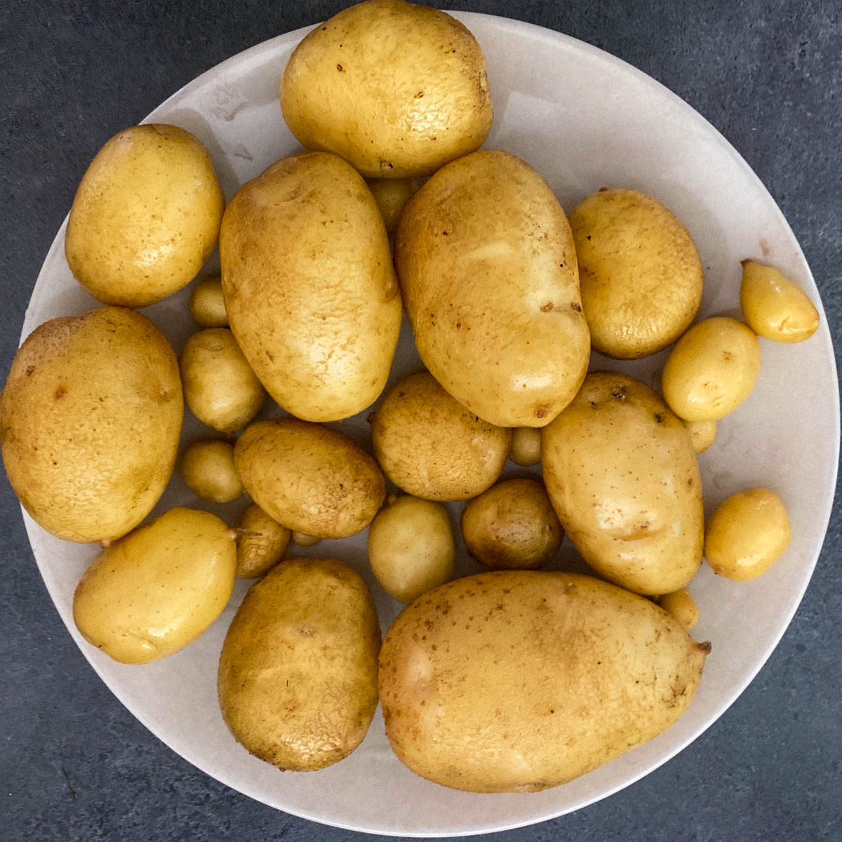 Aardappeloogst uit een Makkelijke Moestuin mini