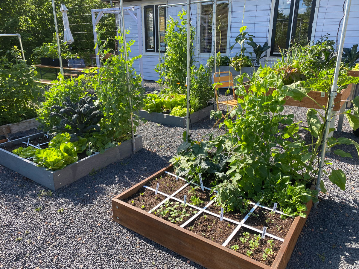 Everything grows super fast in June