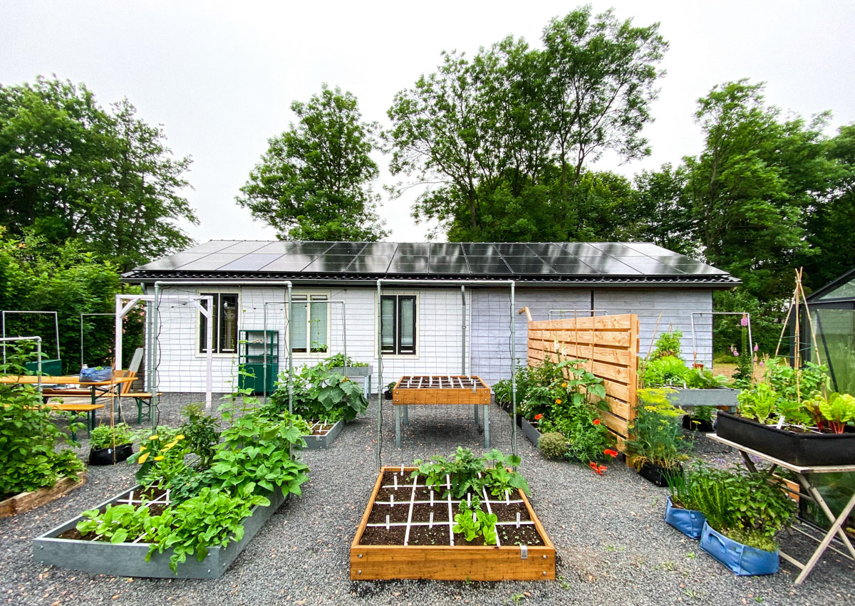 Kantoortuin Makkelijke Moestuin in Den Andel op 29 juni 2021